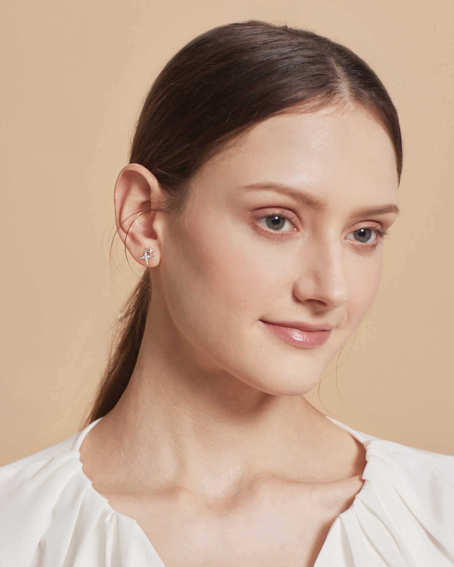 North Star Screw Back Earrings
